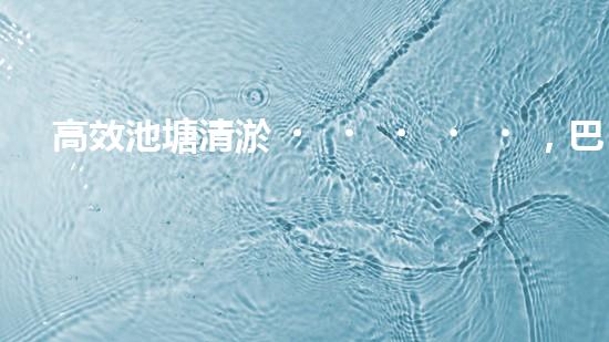 高效池塘清淤，巴洛仕設備助您一臂之力